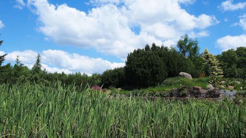 landscape nature cloud