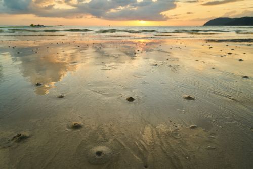 landscape beach marine