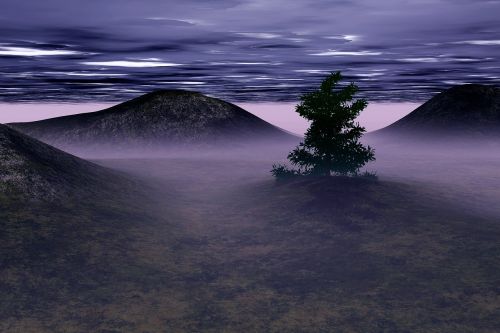 landscape fog ground fog