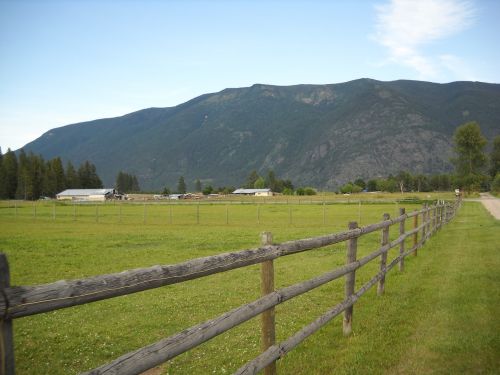 landscape field fence