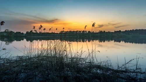 landscape pesochin evening