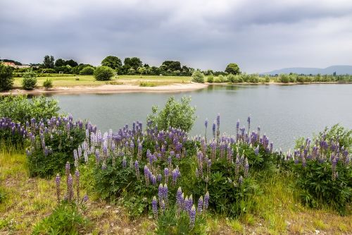 landscape pond nature