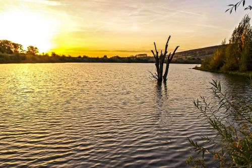 landscape pond twilight