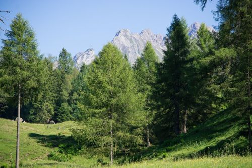 landscape nature summer