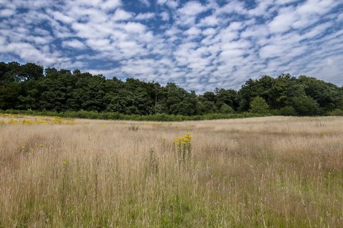 landscape field clouds