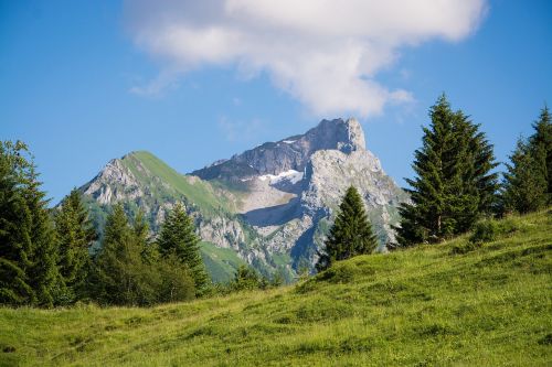 landscape nature meadow