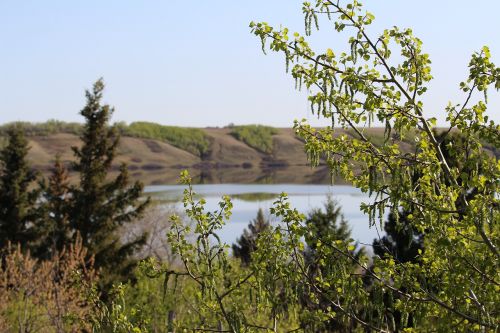 landscape lake nature