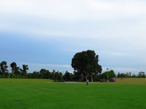 landscape background green