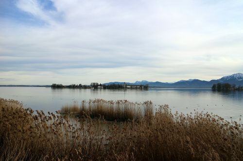 landscape chiemsee reed