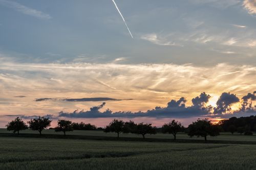 landscape summer nature