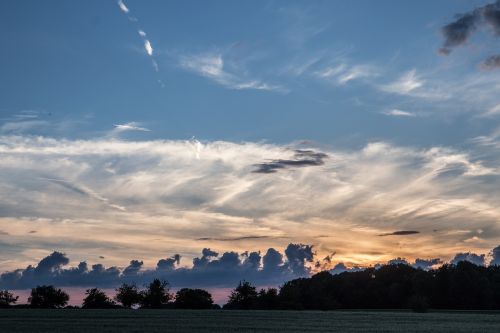 landscape summer nature