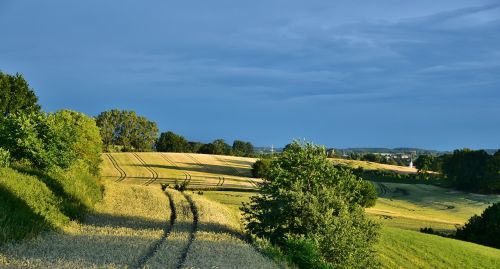 landscape twilight field