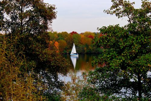 landscape autumn water boat