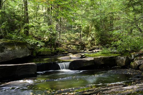 landscape fast water creek