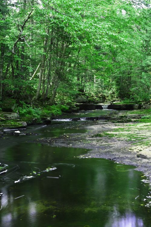 landscape fast water creek