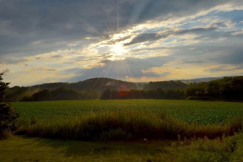 landscape field sunshine