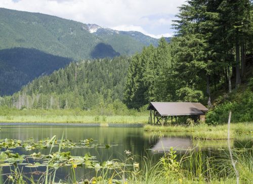 landscape pond marsh