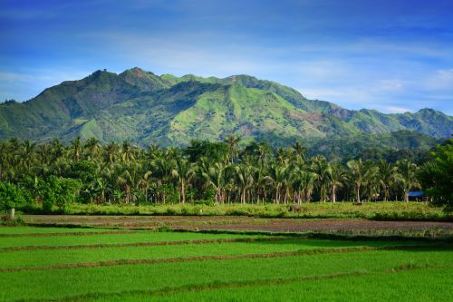 landscape nature mountain