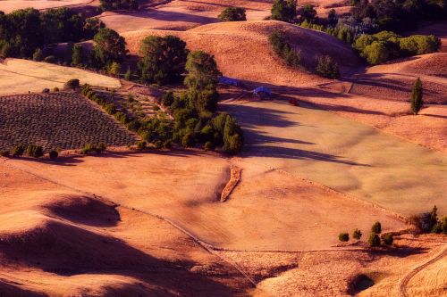 landscape hills trees