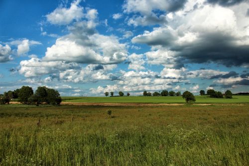 landscape meadow summer