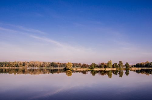 landscape forests sky