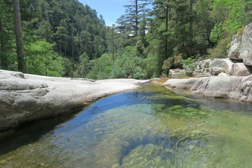 landscape forest river