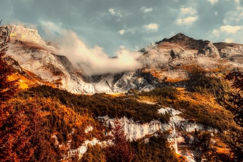 landscape mountains forest