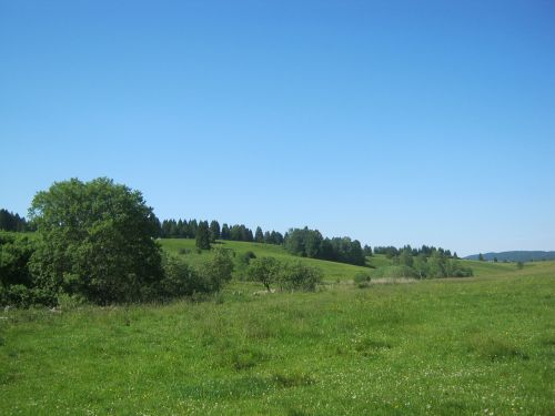 landscape meadow hiking