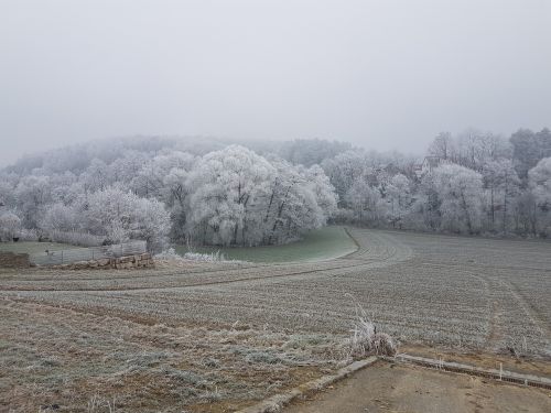 landscape hoarfrost frost