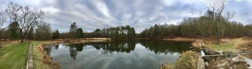 landscape pond nature