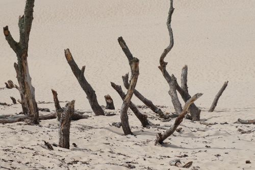 landscape panorama dune landscape