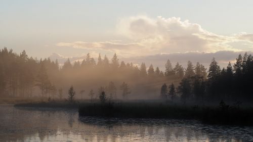 landscape mist morning