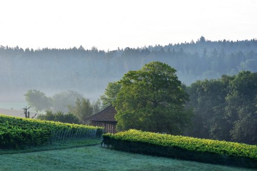 landscape view sunrise