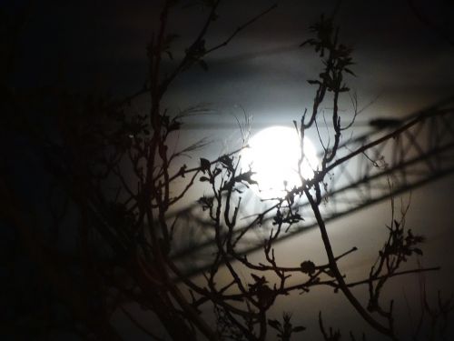 landscape dusk moon