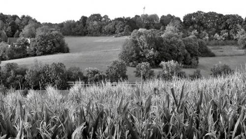 landscape twilight black and white