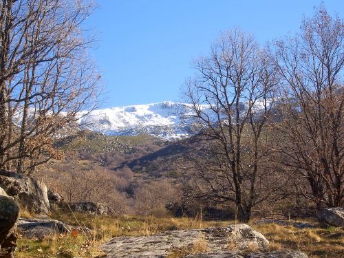 landscape snow nature