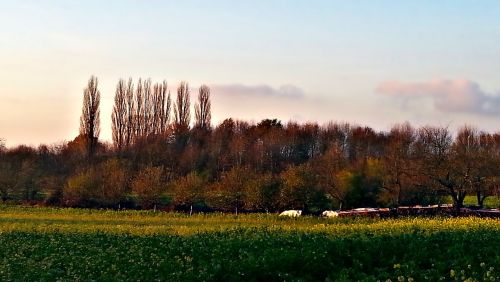 landscape autumn the sun