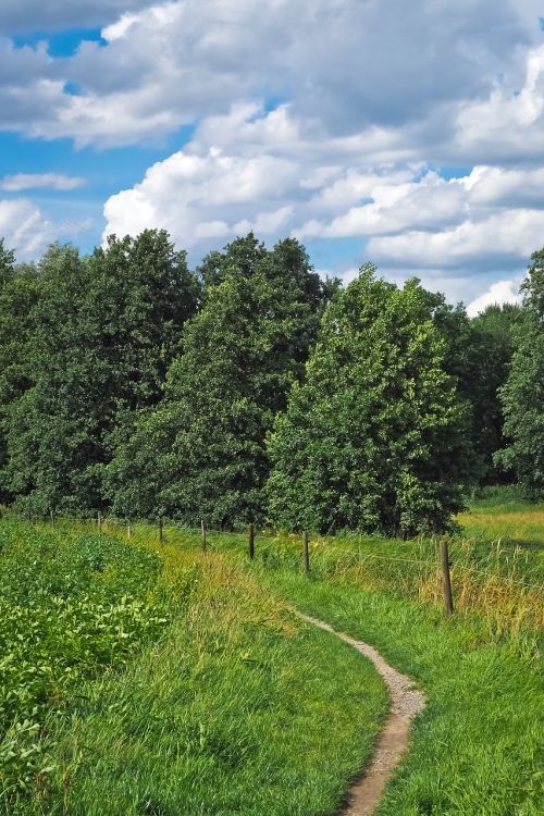 landscape field nature