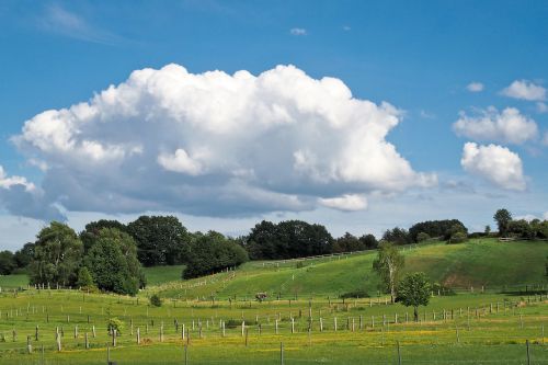 landscape field nature