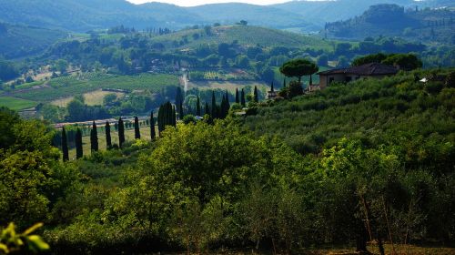 landscape tuscany nature