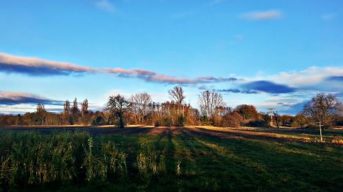 landscape field nature