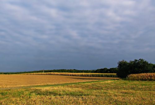 landscape field clouds