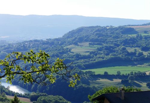 landscape valley green