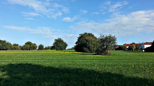 landscape nature green