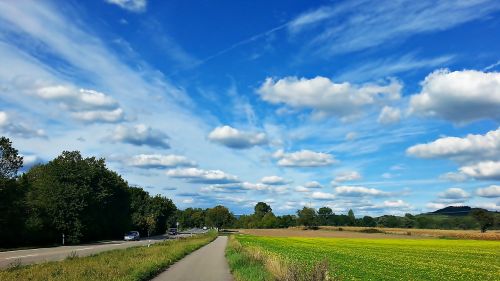 landscape nature green