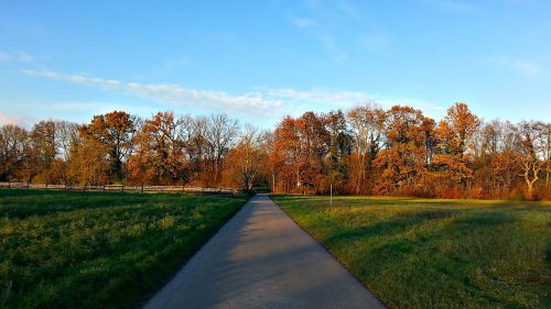 landscape nature green