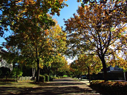 landscape autumn way