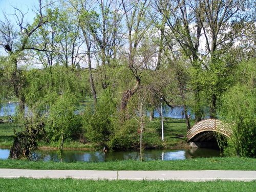 landscape trees green