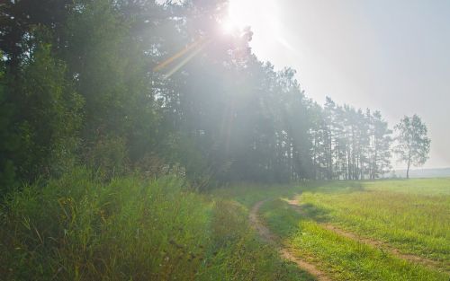 landscape summer morning