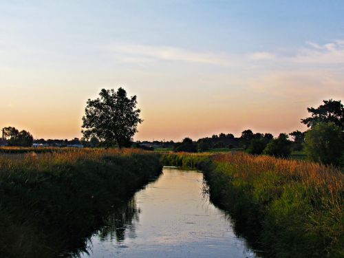 landscape field nature